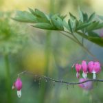 全面解读tengbo888官网的功能亮点与安全合规保障 5n2y9