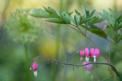 全面解读tengbo888官网的功能亮点与安全合规保障