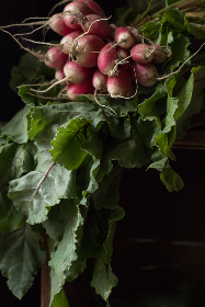 关于老虎城网址的合规性分析与监管环境解读