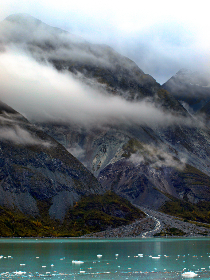 凯旋门国际网址的市场定位与竞争格局全景解读报告