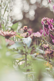 冠亚体育打造精彩赛事解读与运动员专访合集