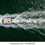 全面解析发发平台的内容生态构建与用户互动规律 u8rj5hn