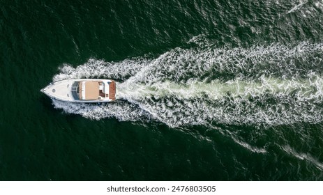 全面解析发发平台的内容生态构建与用户互动规律