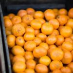 20251203期双色球开奖结果正式公布 15xi62gfi