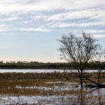 2025134期开奖号码正式公布,快来看看你中奖了吗? 19a0x7ya4