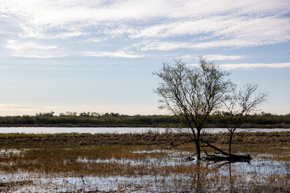 2025134期开奖号码正式公布,快来看看你中奖了吗?