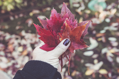 440550开奖网站官方开奖结果查询与最新资讯