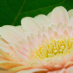 2025128期双色球开奖号码结果查询 7hdtmjqfp