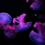 2025142期福彩3D开奖结果最新公布 abs78f