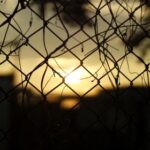 2025117期3D开奖结果最新公布,快来看看中奖号码! b8dpuekq