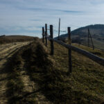 4246期开奖结果震撼揭晓,幸运号码花落谁家? eik9wgy