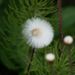 2025130期开奖号码查询与最新结果公布 ix4enc8ok