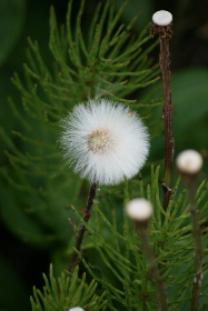 2025130期开奖号码查询与最新结果公布