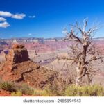 4238期开奖结果正式公布,大奖花落谁家? qocrl