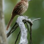 2025120期彩票开奖结果最新公布 rgiks69