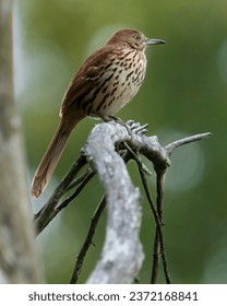 2025120期彩票开奖结果最新公布