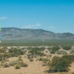 2025121期双色球开奖号码正式公布 sknpr8816s