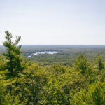 2025114期双色球开奖号码结果查询与公布 tcsatqur1j