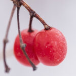 44888开奖结果最新公布,速来查看幸运号码 w72fx