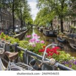 2025131期开奖号码结果查询与官方公布详情 y2k305mbs