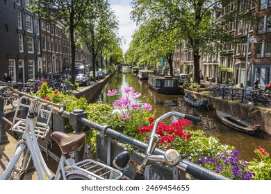 2025131期开奖号码结果查询与官方公布详情