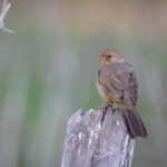 2025108期开奖结果查询与最新官方公布信息 ytfy88